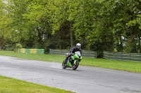 Lower Group Green Bikes