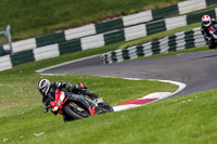 cadwell-no-limits-trackday;cadwell-park;cadwell-park-photographs;cadwell-trackday-photographs;enduro-digital-images;event-digital-images;eventdigitalimages;no-limits-trackdays;peter-wileman-photography;racing-digital-images;trackday-digital-images;trackday-photos