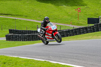 cadwell-no-limits-trackday;cadwell-park;cadwell-park-photographs;cadwell-trackday-photographs;enduro-digital-images;event-digital-images;eventdigitalimages;no-limits-trackdays;peter-wileman-photography;racing-digital-images;trackday-digital-images;trackday-photos