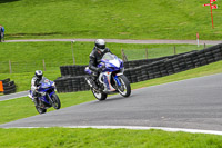 Lower Group Blue Bikes