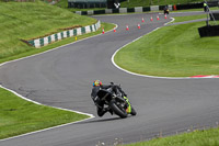 Lower Group Green Bikes