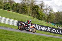 Lower Group Orange Bikes