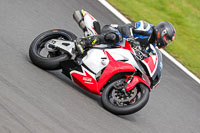Lower Group Red Bikes