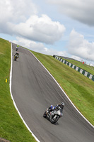 Lower Group Silver/Grey Bikes