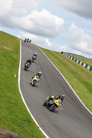 Lower Group Yellow Bikes