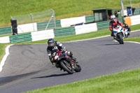 cadwell-no-limits-trackday;cadwell-park;cadwell-park-photographs;cadwell-trackday-photographs;enduro-digital-images;event-digital-images;eventdigitalimages;no-limits-trackdays;peter-wileman-photography;racing-digital-images;trackday-digital-images;trackday-photos