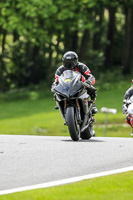 Middle Group Black Bikes