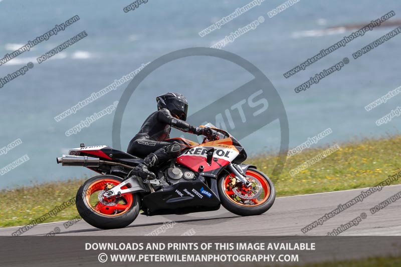 anglesey no limits trackday;anglesey photographs;anglesey trackday photographs;enduro digital images;event digital images;eventdigitalimages;no limits trackdays;peter wileman photography;racing digital images;trac mon;trackday digital images;trackday photos;ty croes