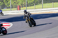 brands-hatch-photographs;brands-no-limits-trackday;cadwell-trackday-photographs;enduro-digital-images;event-digital-images;eventdigitalimages;no-limits-trackdays;peter-wileman-photography;racing-digital-images;trackday-digital-images;trackday-photos