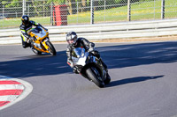 brands-hatch-photographs;brands-no-limits-trackday;cadwell-trackday-photographs;enduro-digital-images;event-digital-images;eventdigitalimages;no-limits-trackdays;peter-wileman-photography;racing-digital-images;trackday-digital-images;trackday-photos