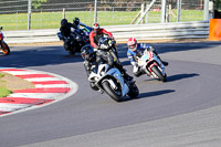 brands-hatch-photographs;brands-no-limits-trackday;cadwell-trackday-photographs;enduro-digital-images;event-digital-images;eventdigitalimages;no-limits-trackdays;peter-wileman-photography;racing-digital-images;trackday-digital-images;trackday-photos