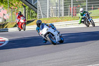 brands-hatch-photographs;brands-no-limits-trackday;cadwell-trackday-photographs;enduro-digital-images;event-digital-images;eventdigitalimages;no-limits-trackdays;peter-wileman-photography;racing-digital-images;trackday-digital-images;trackday-photos