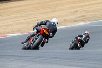 Lower Group Red Bikes