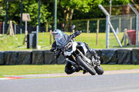 Lower Group Silver/Grey Bikes