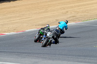Middle Group 1 Green Bikes