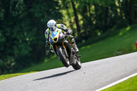 cadwell-no-limits-trackday;cadwell-park;cadwell-park-photographs;cadwell-trackday-photographs;enduro-digital-images;event-digital-images;eventdigitalimages;no-limits-trackdays;peter-wileman-photography;racing-digital-images;trackday-digital-images;trackday-photos
