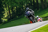 cadwell-no-limits-trackday;cadwell-park;cadwell-park-photographs;cadwell-trackday-photographs;enduro-digital-images;event-digital-images;eventdigitalimages;no-limits-trackdays;peter-wileman-photography;racing-digital-images;trackday-digital-images;trackday-photos