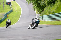 cadwell-no-limits-trackday;cadwell-park;cadwell-park-photographs;cadwell-trackday-photographs;enduro-digital-images;event-digital-images;eventdigitalimages;no-limits-trackdays;peter-wileman-photography;racing-digital-images;trackday-digital-images;trackday-photos
