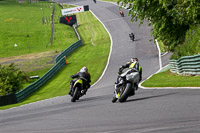 cadwell-no-limits-trackday;cadwell-park;cadwell-park-photographs;cadwell-trackday-photographs;enduro-digital-images;event-digital-images;eventdigitalimages;no-limits-trackdays;peter-wileman-photography;racing-digital-images;trackday-digital-images;trackday-photos