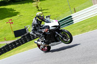 cadwell-no-limits-trackday;cadwell-park;cadwell-park-photographs;cadwell-trackday-photographs;enduro-digital-images;event-digital-images;eventdigitalimages;no-limits-trackdays;peter-wileman-photography;racing-digital-images;trackday-digital-images;trackday-photos