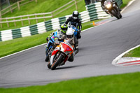 cadwell-no-limits-trackday;cadwell-park;cadwell-park-photographs;cadwell-trackday-photographs;enduro-digital-images;event-digital-images;eventdigitalimages;no-limits-trackdays;peter-wileman-photography;racing-digital-images;trackday-digital-images;trackday-photos