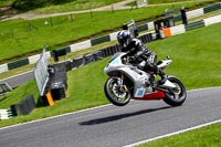 cadwell-no-limits-trackday;cadwell-park;cadwell-park-photographs;cadwell-trackday-photographs;enduro-digital-images;event-digital-images;eventdigitalimages;no-limits-trackdays;peter-wileman-photography;racing-digital-images;trackday-digital-images;trackday-photos