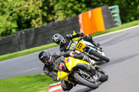 Advanced Group Yellow Bikes