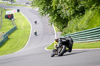 Advanced Group Yellow Bikes