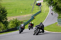 cadwell-no-limits-trackday;cadwell-park;cadwell-park-photographs;cadwell-trackday-photographs;enduro-digital-images;event-digital-images;eventdigitalimages;no-limits-trackdays;peter-wileman-photography;racing-digital-images;trackday-digital-images;trackday-photos