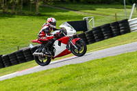 Lower Group Red Bikes
