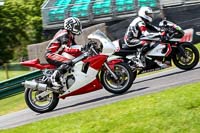 Lower Group Red Bikes