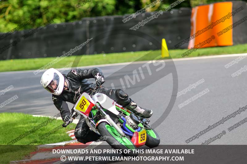 cadwell no limits trackday;cadwell park;cadwell park photographs;cadwell trackday photographs;enduro digital images;event digital images;eventdigitalimages;no limits trackdays;peter wileman photography;racing digital images;trackday digital images;trackday photos