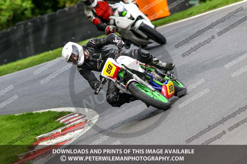 cadwell no limits trackday;cadwell park;cadwell park photographs;cadwell trackday photographs;enduro digital images;event digital images;eventdigitalimages;no limits trackdays;peter wileman photography;racing digital images;trackday digital images;trackday photos