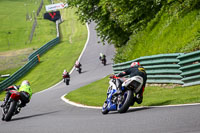 cadwell-no-limits-trackday;cadwell-park;cadwell-park-photographs;cadwell-trackday-photographs;enduro-digital-images;event-digital-images;eventdigitalimages;no-limits-trackdays;peter-wileman-photography;racing-digital-images;trackday-digital-images;trackday-photos