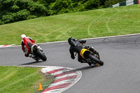 cadwell-no-limits-trackday;cadwell-park;cadwell-park-photographs;cadwell-trackday-photographs;enduro-digital-images;event-digital-images;eventdigitalimages;no-limits-trackdays;peter-wileman-photography;racing-digital-images;trackday-digital-images;trackday-photos