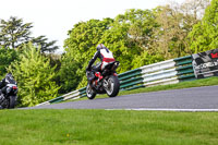 cadwell-no-limits-trackday;cadwell-park;cadwell-park-photographs;cadwell-trackday-photographs;enduro-digital-images;event-digital-images;eventdigitalimages;no-limits-trackdays;peter-wileman-photography;racing-digital-images;trackday-digital-images;trackday-photos