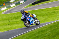 cadwell-no-limits-trackday;cadwell-park;cadwell-park-photographs;cadwell-trackday-photographs;enduro-digital-images;event-digital-images;eventdigitalimages;no-limits-trackdays;peter-wileman-photography;racing-digital-images;trackday-digital-images;trackday-photos