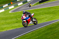 cadwell-no-limits-trackday;cadwell-park;cadwell-park-photographs;cadwell-trackday-photographs;enduro-digital-images;event-digital-images;eventdigitalimages;no-limits-trackdays;peter-wileman-photography;racing-digital-images;trackday-digital-images;trackday-photos