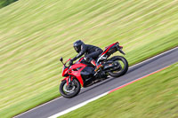 Eve Low/Mid Group Red Bikes