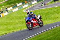 cadwell-no-limits-trackday;cadwell-park;cadwell-park-photographs;cadwell-trackday-photographs;enduro-digital-images;event-digital-images;eventdigitalimages;no-limits-trackdays;peter-wileman-photography;racing-digital-images;trackday-digital-images;trackday-photos