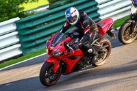 cadwell-no-limits-trackday;cadwell-park;cadwell-park-photographs;cadwell-trackday-photographs;enduro-digital-images;event-digital-images;eventdigitalimages;no-limits-trackdays;peter-wileman-photography;racing-digital-images;trackday-digital-images;trackday-photos