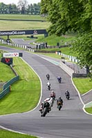 Middle Group Black Bikes