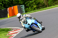 cadwell-no-limits-trackday;cadwell-park;cadwell-park-photographs;cadwell-trackday-photographs;enduro-digital-images;event-digital-images;eventdigitalimages;no-limits-trackdays;peter-wileman-photography;racing-digital-images;trackday-digital-images;trackday-photos