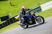 cadwell-no-limits-trackday;cadwell-park;cadwell-park-photographs;cadwell-trackday-photographs;enduro-digital-images;event-digital-images;eventdigitalimages;no-limits-trackdays;peter-wileman-photography;racing-digital-images;trackday-digital-images;trackday-photos