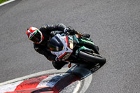 Middle Group Green Bikes