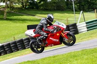 cadwell-no-limits-trackday;cadwell-park;cadwell-park-photographs;cadwell-trackday-photographs;enduro-digital-images;event-digital-images;eventdigitalimages;no-limits-trackdays;peter-wileman-photography;racing-digital-images;trackday-digital-images;trackday-photos