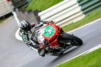 cadwell-no-limits-trackday;cadwell-park;cadwell-park-photographs;cadwell-trackday-photographs;enduro-digital-images;event-digital-images;eventdigitalimages;no-limits-trackdays;peter-wileman-photography;racing-digital-images;trackday-digital-images;trackday-photos