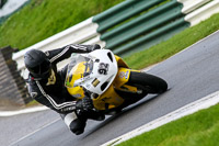 cadwell-no-limits-trackday;cadwell-park;cadwell-park-photographs;cadwell-trackday-photographs;enduro-digital-images;event-digital-images;eventdigitalimages;no-limits-trackdays;peter-wileman-photography;racing-digital-images;trackday-digital-images;trackday-photos