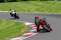 Lower Group Orange Bikes