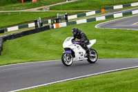 cadwell-no-limits-trackday;cadwell-park;cadwell-park-photographs;cadwell-trackday-photographs;enduro-digital-images;event-digital-images;eventdigitalimages;no-limits-trackdays;peter-wileman-photography;racing-digital-images;trackday-digital-images;trackday-photos